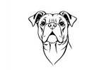 Bulldog Portrait