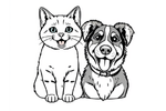 Cat and Dog