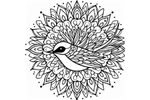 Mandala Bird